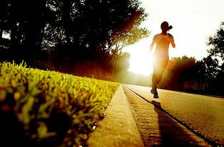 關(guān)于早起鍛煉的詩句