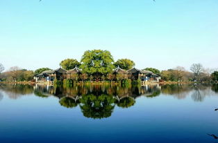 春色的一兩個(gè)古詩(shī)句