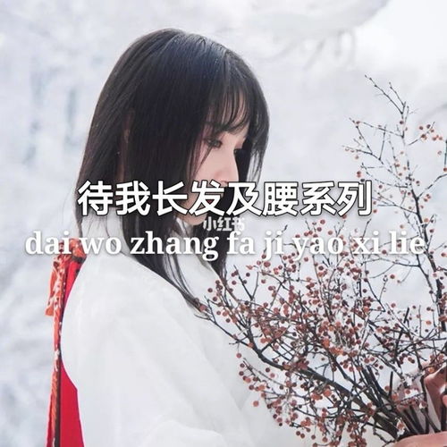 有關(guān)于長(zhǎng)發(fā)的詩句