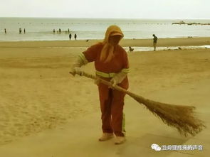 關于大海情懷的詩句是