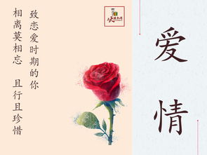 大棗,詩句,愛情