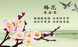 古詩中描寫服飾的詩句詞