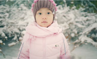 堆雪人的古詩句