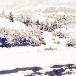 詩(shī)句,描寫(xiě),采薇