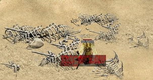 才子佳人的古詩句