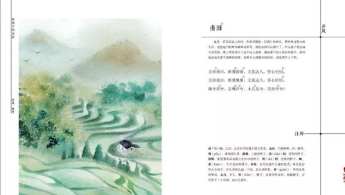 詩經(jīng)關(guān)于孩童的詩句