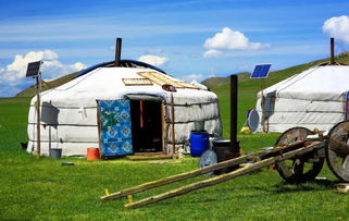 關(guān)于歡迎遠(yuǎn)方來(lái)客的詩(shī)句