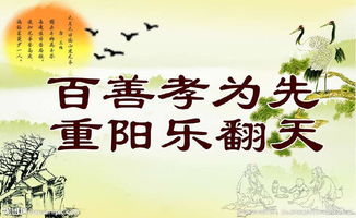 尊敬老人孝敬父母的古詩句