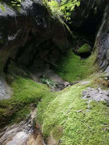 關(guān)于魚(yú)谷洞的詩(shī)句