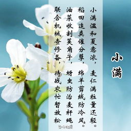 關(guān)于抒發(fā)情感的古典詩句