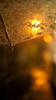 關(guān)于時光記憶的詩句