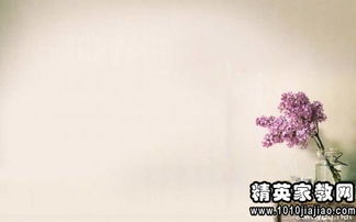 帶古詩句的優(yōu)美段落