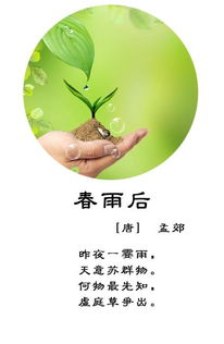 詩句中寫道春雨的古詩