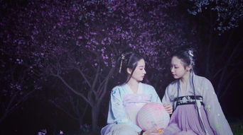 關(guān)于姊妹親情的詩句