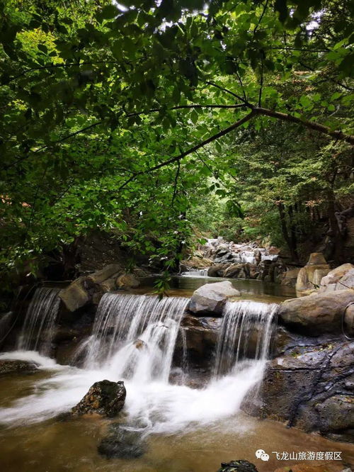 含飛瀑流泉的古詩句