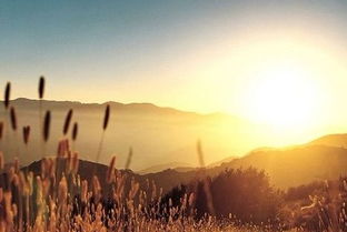 關于陽光的古詩句