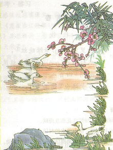 春天的古詩句配圖