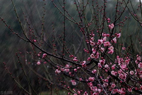 關于漫步春雨的詩句