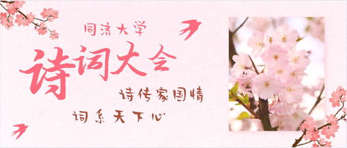 詩句,綜合,歌曲