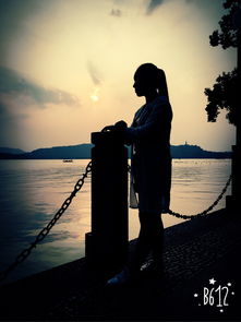 關(guān)于愛情帶飛字的詩句