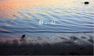 表現(xiàn)歲月靜好的古詩句