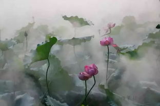 關(guān)于夢(mèng)醉荷塘的詩(shī)句