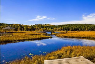 圍場(chǎng),木蘭,詩句,描寫