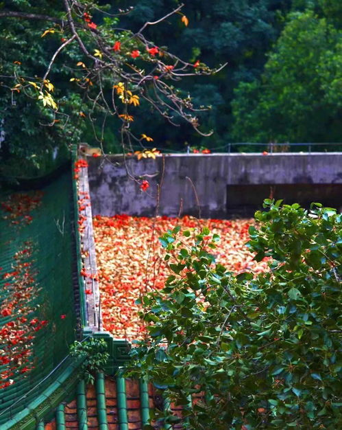 形容京城紅墻綠瓦的古詩句,形容紅墻綠瓦的文藝句,形容紅墻綠瓦的成語