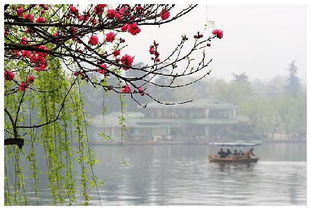 關(guān)于洛陽的春天的詩句