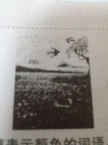 暮江吟的詩句意思是什么意思,飲湖上初晴后雨的詩句的意思是什么意思,望洞庭的詩句的意思是什么意思