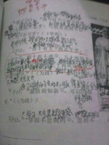 詩句,讀書,精彩