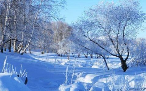 試著寫兩句關(guān)于雪的詩(shī)句