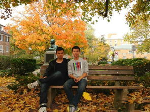 關(guān)于同性的愛情詩句