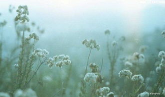 告訴我們要珍惜時間的古詩句