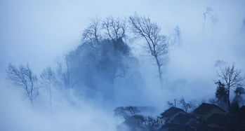 關(guān)于鄉(xiāng)下風(fēng)光的詩(shī)句