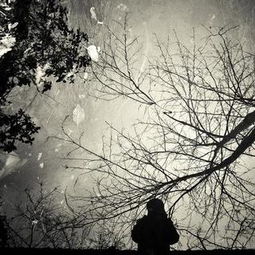 表達(dá)世事滄桑變化詩(shī)句,看淡世事滄桑的詩(shī)句,形容世事滄桑的詩(shī)句