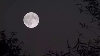 月亮,古詩,詩句,文網(wǎng)