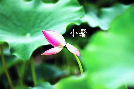 關(guān)于小暑的養(yǎng)生詩(shī)句