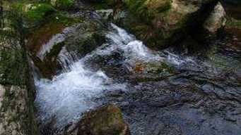 關(guān)于山泉水的詩句