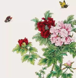 春天桃花的詩(shī)句古詩(shī),描寫春天桃花的詩(shī)句古詩(shī),春天的詩(shī)句古詩(shī)整首