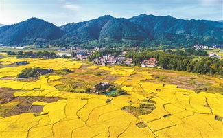 關于雁振翅高飛的詩句