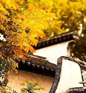 關(guān)于惠山寺的詩(shī)句