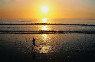 關(guān)于落日的詩句標(biāo)明作者出處