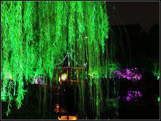 古詩,詩句,描寫,樣子