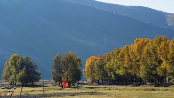 有關(guān)世外桃源的古詩句