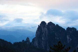 關(guān)于松柏青山的詩(shī)句