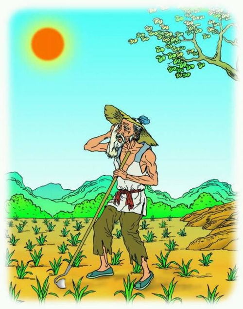 憫農(nóng)的古詩(shī)句有什么