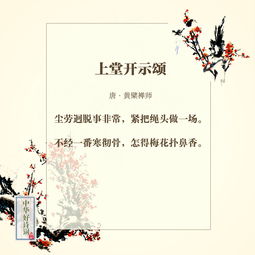 到了冬天關(guān)于梅花的詩(shī)句是什么意思是什么