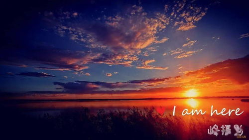 感嘆花開花謝的詩句,形容花開花謝的詩句,花開花謝的優(yōu)美詩句