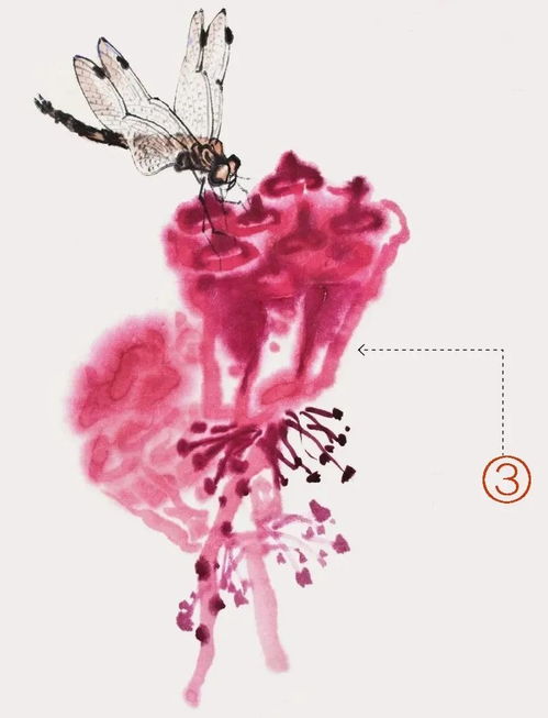 有關(guān)于蝴蝶蜻蜓的詩句